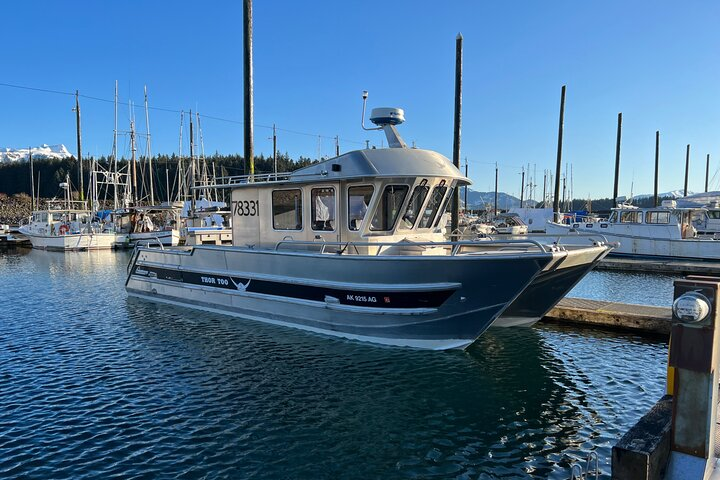 6 Passenger Whale Watching Adventure in Icy Strait from Hoonah AK - Photo 1 of 5